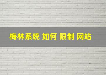 梅林系统 如何 限制 网站